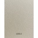 Cream Colour, Pearlescent and Shimmer, Fiber Pattern Carton 250 Gsm
