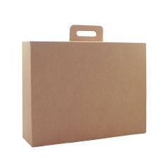 Taschentyp, Internet-Verkaufs- und Versandbox 21x21x14 cm-