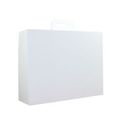 Taschentyp, Internet-Verkaufs- und Versandbox 25x20x10 cm