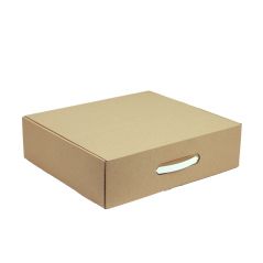 Cardboard Bag Box With Plastic Handle 42x36x10 cm