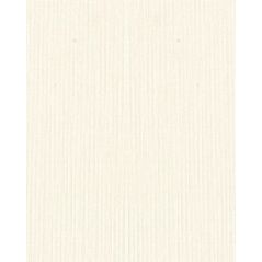 Canvas Texture Design Cardboard - Cream Color