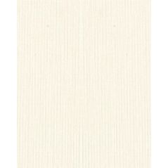 Canvas Texture Design Cardboard - Cream Color