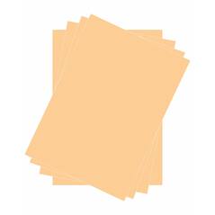 Salmon Color Luxury Cardboard - A4 Size and 35x50 cm size