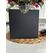 16x16 Cm - Square Format - Open Mouth - Black Envelope