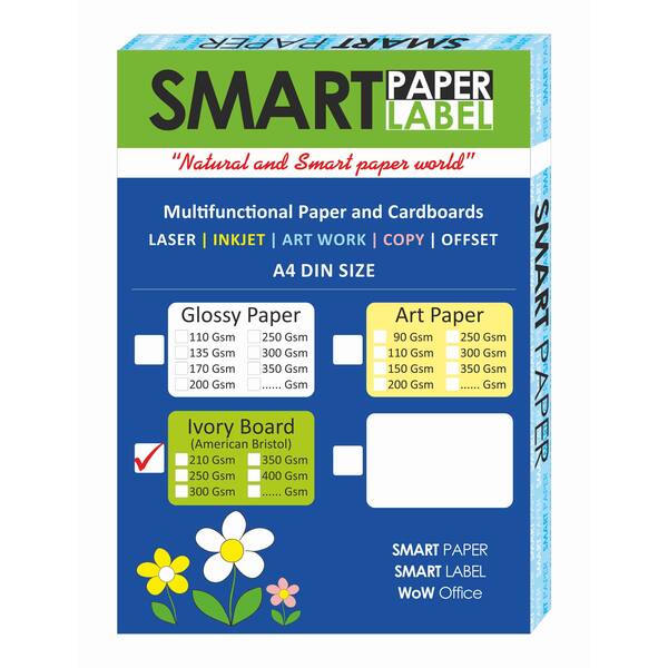 Carton Brillant A4 (C2S Coated)