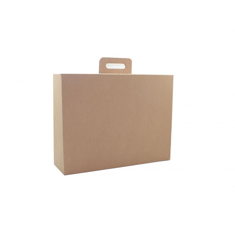 Taschentyp, Internet-Verkaufs- und Versandbox 21x21x14 cm-