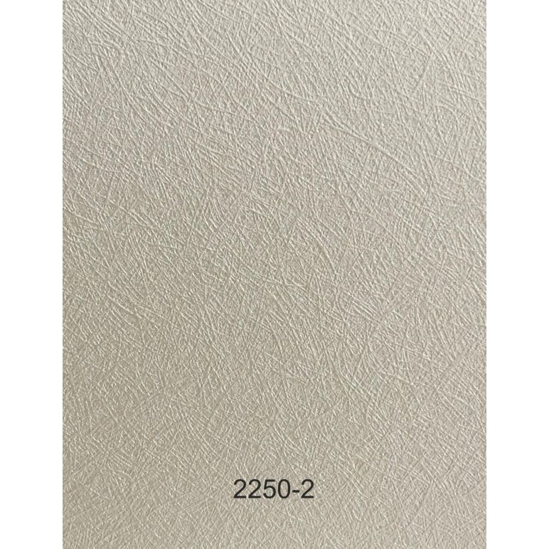 Cream Colour, Pearlescent and Shimmer, Fiber Pattern Carton 250 Gsm