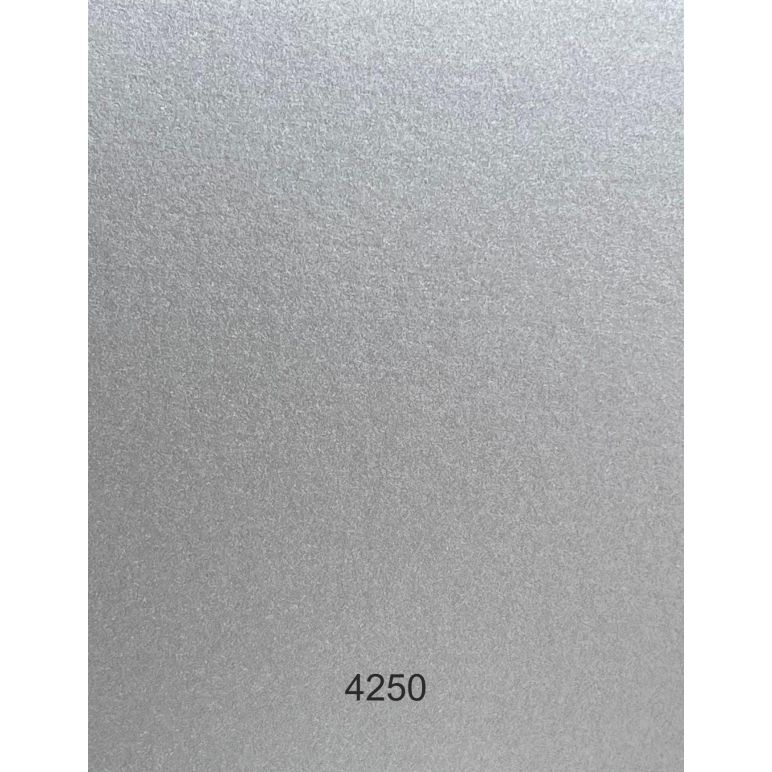 Metallic zilveren kleur parelmoer en glinsterende luxe doos - 250 g/m²
